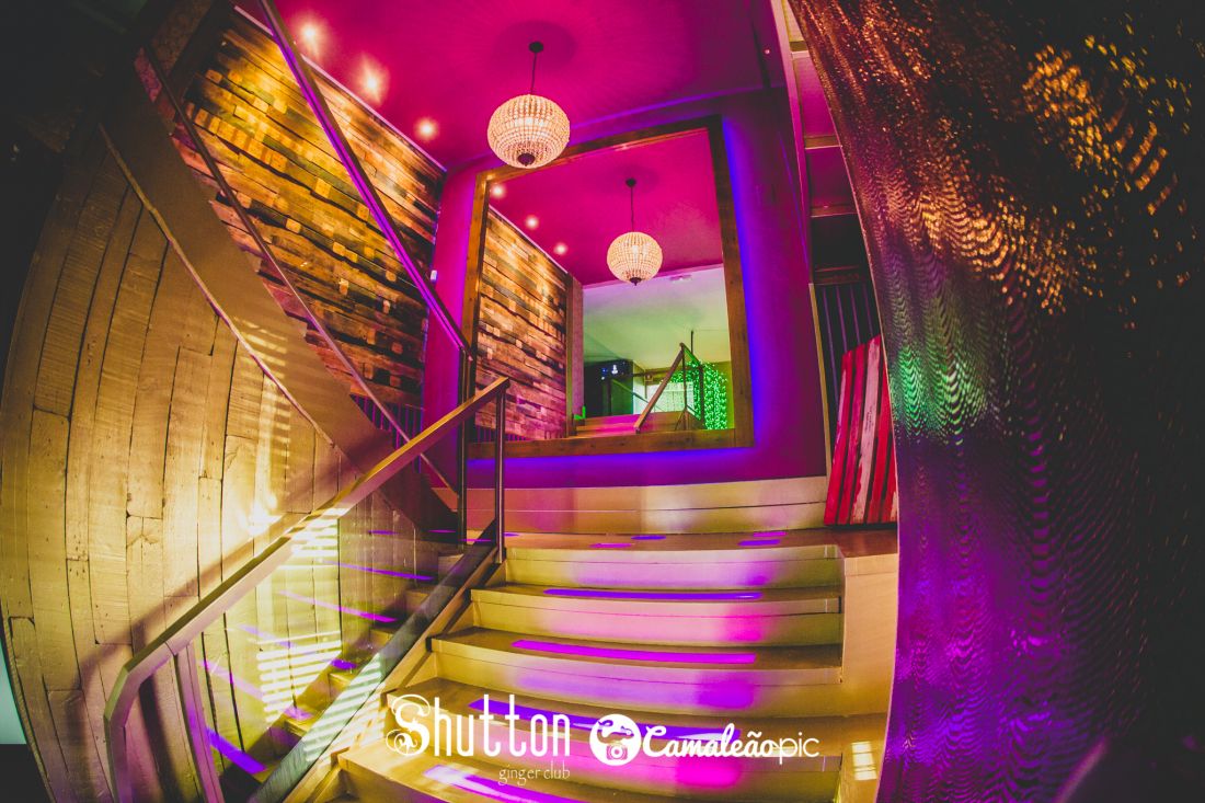 Interior Shutton Valladolid