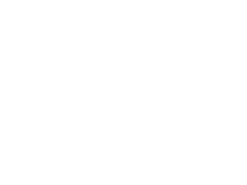 logo shutton